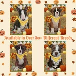Fall Autumn Greeting Dog Cat Pet Jigsaw Puzzle Games For Adults 500 Pc. 14"X20". Fixed Price $32.99.