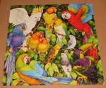 Jungle Birds - Vintage Springbok 500 Piece Puzzle Assembled. Fixed Price $40.00.