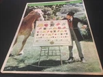 Vintage Whitman Framed Tray Puzzle "dr. Doolittle" 20TH Century Fox Film #4568. Fixed Price $19.99.