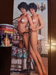 Playboy Playmate Puzzle Oct 70 Collinson Twins AP112 Complete With Original Tin. Fixed Price $42.95.