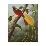 Bird Of Paradise Jigsaw Puzzle 252-PIECE Watcher Lover Indoor Fun Gift. Fixed Price $19.95.