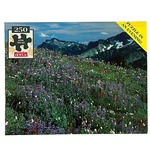 Nos Hoyle 250 Piece Jigsaw Puzzle An Evening Mountain Flowers 14X18 Sealed. Fixed Price $13.95.