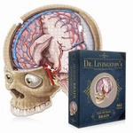 Dr. Livingston's Anatomy Jigsaw Puzzle: The Human Brain 662 Pieces - Sealed!!. Fixed Price $25.99.