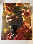 Springbok Jigsaw Puzzle "on The Vine" Grapes 18" X 23.5" Sealed 500 Pcs Vintage. Fixed Price $9.95.