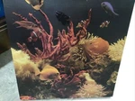 Marine Life Jigsaw Puzzle Vintage 1982 Hoyle 550 Pieces 18" X 24". Fixed Price $9.99.