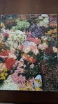 Vintage Springbok Please Pick The Flowers 500+ Piece Jigsaw Puzzle PZL4158. Fixed Price $24.99.