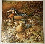 Vintage Springbok Puzzle 1982 Family Outing PZL2109 Complete. Fixed Price $10.00.