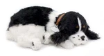 Cocker Spaniel - The Breathing Puppy Perfect Petzzz. Fixed Price $38.85.