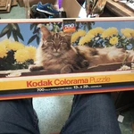 Vintage Roseart Kodak Colorama Cat 700 Piece Jigsaw Puzzle #55555 13" X 39". Fixed Price $14.99.