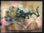 Vintage Springbok 500 Pc. Puzzle Titled "kitten Caboodle" Complete, No PZL4152. Fixed Price $10.64.