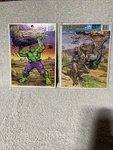 Vintage The Incredible Hulk & Dino- Riders Frame Tray Puzzle Marvel Golden 8X11. Fixed Price $15.00.
