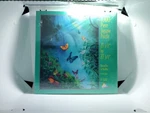 Sunsout Puzzle 1000 Pc Butterflies In The Mist 21.5 X 27.5 Tom Dubois New Sealed. Fixed Price $17.99.