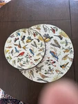 Vtg 1965 Springbok Song Birds Circular Jigsaw Puzzle By Don Eckelberry Complete. Fixed Price $49.99.
