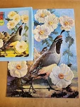 Vintage Complete Built-rite Quail Junior Picture Jigsaw Puzzle 150+ Pieces. Fixed Price $10.00.