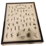 Mandolin Puzzle's Hoffnung's The Maestro 1000 Piece Jigsaw New Sealed. Fixed Price $30.00.