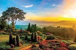 Educa - 1000 Piece Adult Puzzle Beautiful Garden. Dimensions: 68 X 48 Cm.. Fixed Price $15.21.