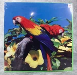 Apc American Publishing Casse-tete Jigsaw Puzzle 551 Pcs Birds Of Paradise. Fixed Price $20.00.