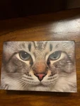 Springbok Mini Puzzle Tabby Cat What Mew 100 Pieces Vintage PZL4740 Sealed. Fixed Price $35.00.