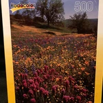 Kodacolor Temblor Range California Jigsaw Puzzle - 13X19 500 Pc New Sealed. Fixed Price $19.95.