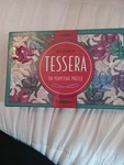Tessera The Perpetual Puzzle Interlocking Beetles - Endless Designs *new Sealed*. Fixed Price $23.98.