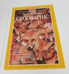 National Geographic Society Magazine Cover Red Foxes 1000 Piece Jigsaw Puzzle. Fixed Price $10.00.