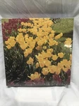 Dutch Treat Tulip Flowers Jigsaw Puzzle Vintage 1984 Hoyle 550 Pc 18 X 24 New. Fixed Price $14.00.