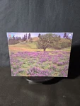 Milton Bradley Magnum Puzzle 3000 Pcs Hillside Near Lyle Washington 33"X43". Fixed Price $43.95.