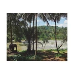 Jigsaw Puzzle & Tin, Original Photo, Pinnawala, Sri Lanka (nov '15). Fixed Price $37.97.