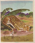 Leopard Frame-tray Puzzle (circa 1950'S) Playskool/golden Press 80-1C. Fixed Price $14.99.