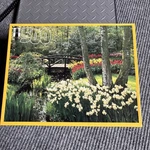 Rainbow Works "holland Garden" Puzzle 500 Pcs Jigsaw Floral New. Fixed Price $9.34.