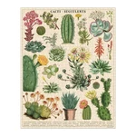 Cavallini 1000 Piece Puzzle, Cacti And Succulents (pzl/suc). Fixed Price $39.34.