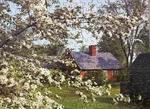 Tuco Tripl-thick Interlocking Picture Puzzle Apple Blossoms Complete 250 Pc. Fixed Price $9.99.