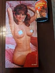 Playboy Playmate Puzzle AP103 Feb 69 Lorrie Menconi Complete W/ Canister Vintage. Fixed Price $42.95.