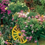 New! Springbok Puzzle 500 Piece Blooming Cart Flowers Garden Pink Green - Sealed. Fixed Price $23.00.