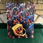 Vintage Springbok - About Billion Berries 500+ Piece Missing 1. Fixed Price $14.99.
