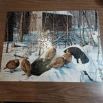 Secluded Hide-a-way By David Maass 550 Pc Puzzle, Hoyle, Vintage 1989, Complete. Fixed Price $9.59.