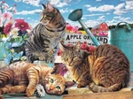 Sunsout Apple Orchard 300 Piece Jigsaw Puzzle. Fixed Price $18.39.