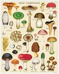 New Cavallini & Vintage Puzzle- Mushrooms, 1000 Pieces Complete 22"X28". Fixed Price $17.49.