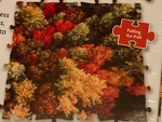 Bepuzzled Impossibles "falling For 1000 Pcs No Edges & 5 Extra. Fixed Price $17.99.