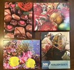 Lot Of 4 Springbok Puzzles Complete Coral Fish Quilts Christmas Chocolate 500 Pc. Fixed Price $30.00.