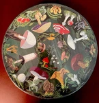Vtg 1968 Springbok Puzzle, The Mushroom 500PC Nos/sealed. Fixed Price $125.00.