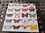 500 Piece Mudpuppy Puzzle "butterflies Of North America New 20" X. Fixed Price $14.50.