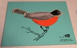 Vintage Judy Company 206 Wooden Puzzle Toy Robin 1966 4 Pc Tray Complete. Fixed Price $49.98.