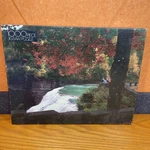 Vintage Golden 1000 Piece Jigsaw Puzzle "watch On The Waterfall" #4777-46. Fixed Price $12.95.