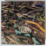 Sealed Springbok S-s-snakes-s-s 500 Pc Jigsaw Puzzle Wooden PZL2464. Fixed Price $37.46.