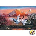 1000 Piece Jigsaw Puzzle Reiho Maizuru 50X75CM. Fixed Price $97.17.