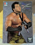 Brutus The Barber Beefcake Wwf 250 Pc Milton Bradley Puzzle Complete - Vtg. Fixed Price $9.99.