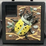 Damert Beetle Scarab Slide Puzzle 3D 8 Piece 4X4 Vintage 1993. Fixed Price $35.00.