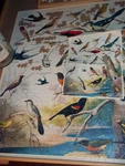 Audubon Birds Jigsaw Puzzle 1000 Pieces Cavallini & Company. Fixed Price $24.99.