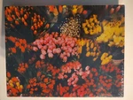 Springbok Un Marche Aux Fleurs Paris 500PC Floral Tulips Jigsaw Puzzle Sealed. Fixed Price $25.00.
